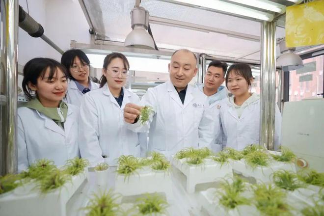 I将在下周发布GPT-41特斯拉副总裁回应「电动车辐射高」传闻麻将胡了苹果从印度空运600吨iPhone回美国曝OpenA(图18)